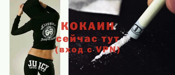 mdpv Богородицк
