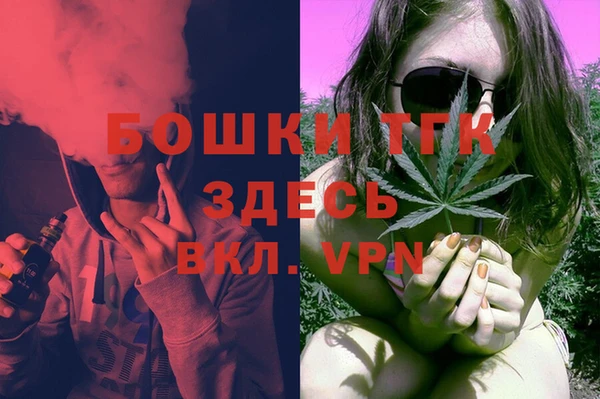 mdpv Богородицк