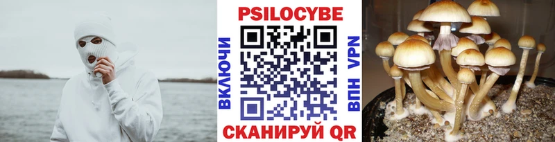 Галлюциногенные грибы Cubensis  ссылка на мегу как войти  Городец 