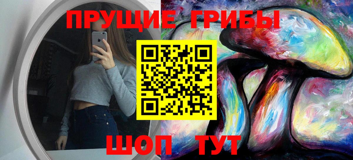 дарнет шоп  Псилоцибиновые грибы прущие грибы  Вход с VPN  Городец 