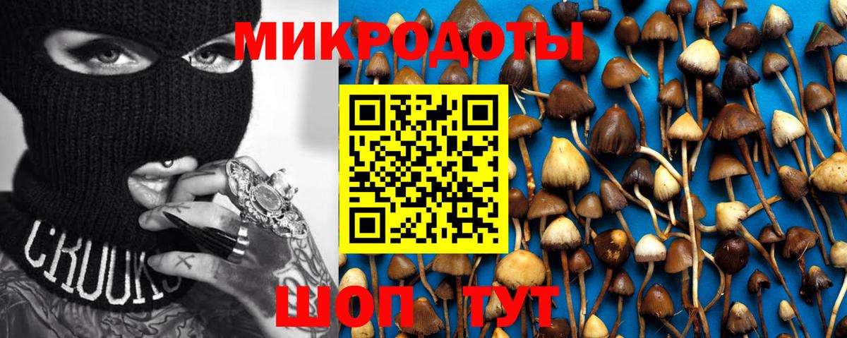 Псилоцибиновые грибы GOLDEN TEACHER Городец