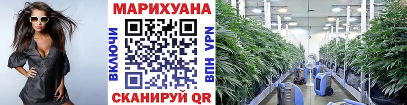 цены наркотик  Городец  МАРИХУАНА план 